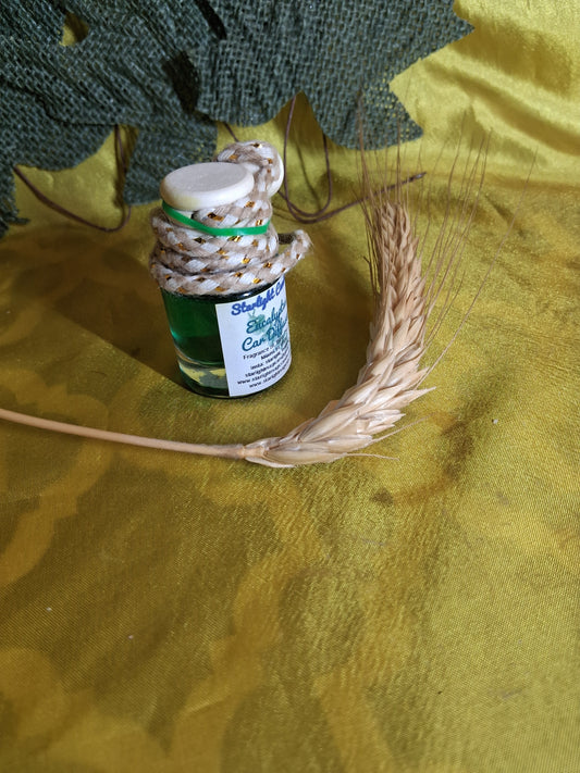 Car Diffusers Eucalyptus- .25oz