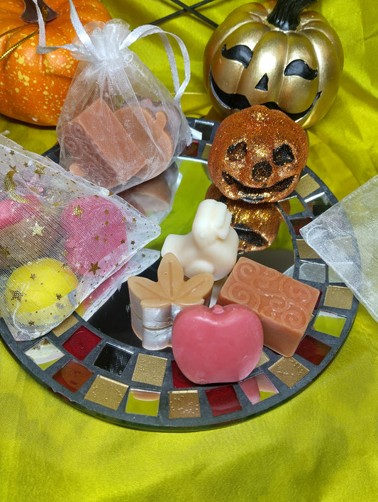 Bag O' Melts scented wax cubes (Fall scents)