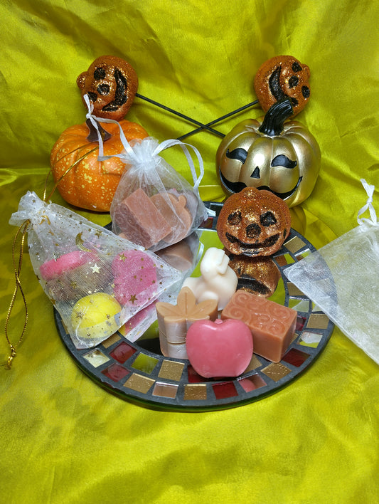 Bag O' Melts scented wax cubes (Fall scents)